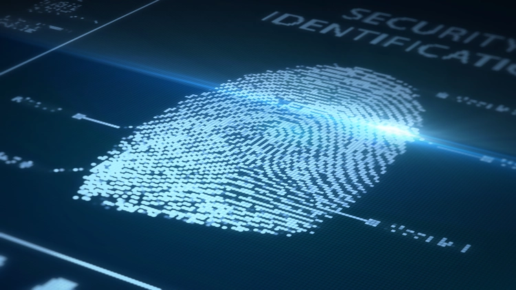 An image showing a detailed fingerprint displayed on a digital screen. 