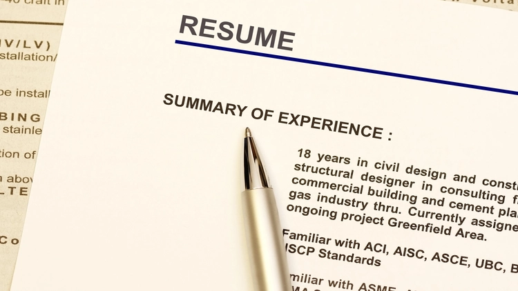 Image of a resume showing the summary of experience.