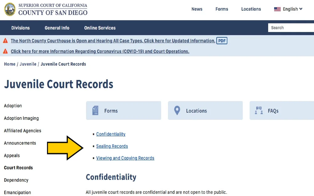 San Diego Superior Court Juvenile Court website sealing juvenile records from public view. 