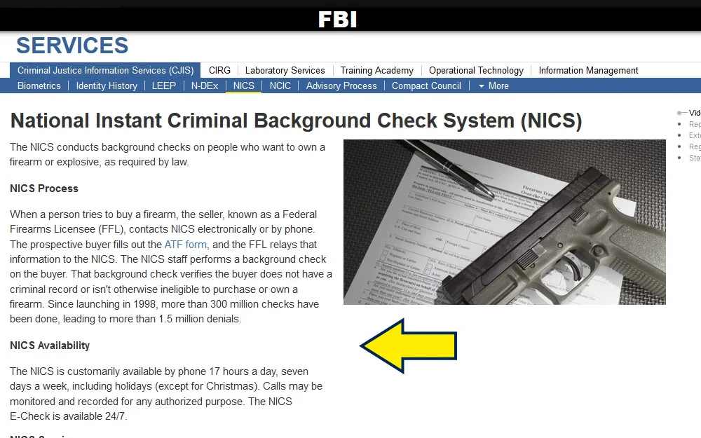 FBI National Instant Criminal Background check system screenshot. 