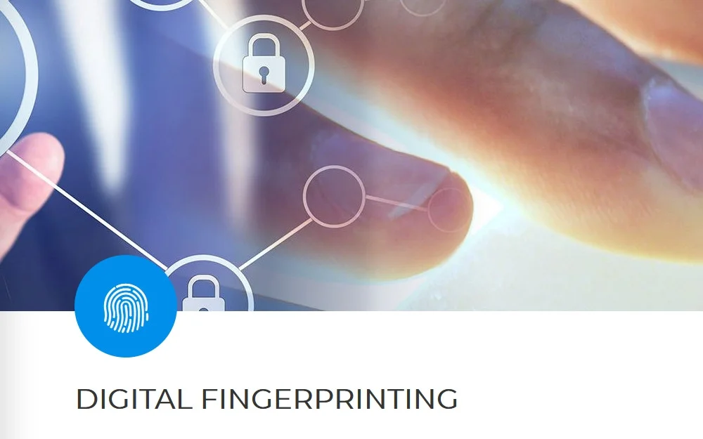 IdentGo website screenshot showing digital fingerprinting. 