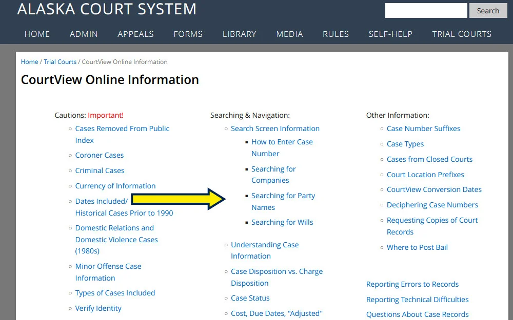 Alaska court system information screenshot for learning how to look up charges on someone. 