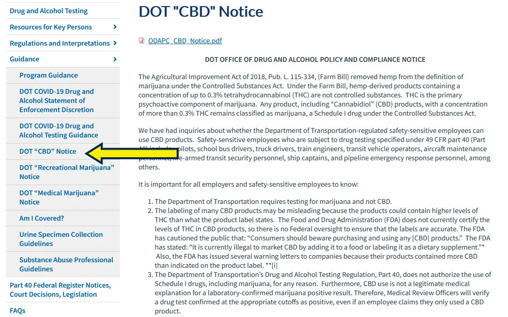 Department of Transportation notice screenshot with yellow arrow pointing to background check with drug test questions. 