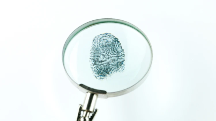 Close-up view of a single fingerprint on a white flat surface under a magnifying glass.