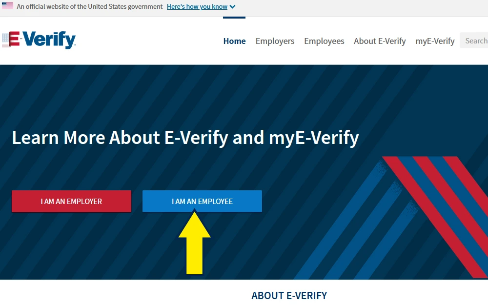 Screenshot of EVerify government website for what shows up on a background check. 