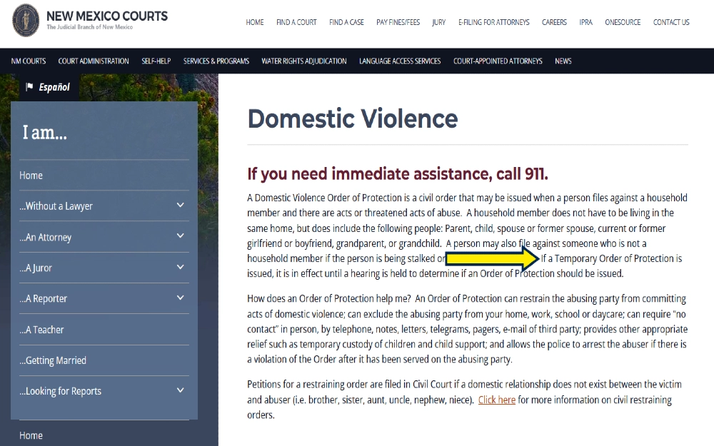 Screenshot of New Mexico courts process for domestic violence, explaining how a protection order words and if it's criminal, will a restraining order show on a background check.