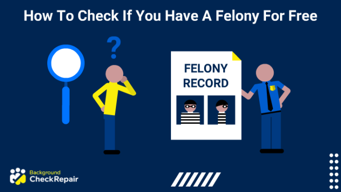 how-to-check-if-you-have-a-felony-for-free-search-this-crime-database