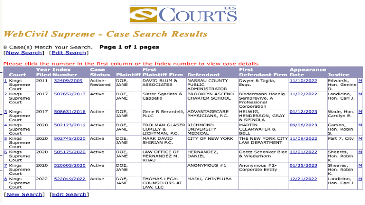Civil Court case search results page screenshot. 