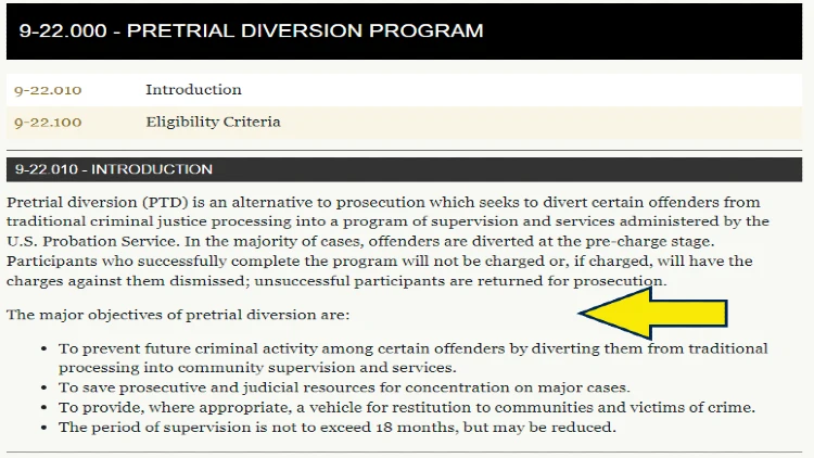Screenshot of pre trial diversion program options.