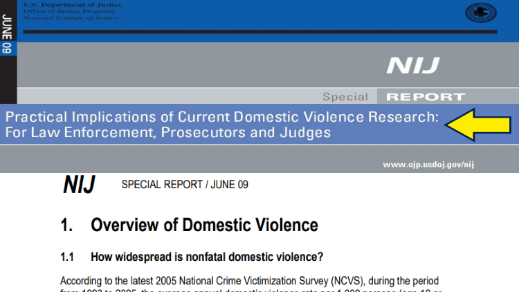 Screenshot of the NIJ Special Report with yellow arrow pointing to the Practical Implications of Current Domestic Violence Research.