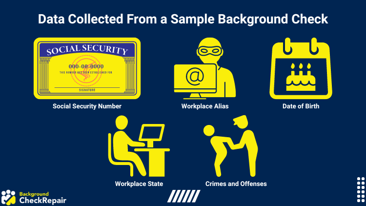 Graphic on data collected from a sample background check