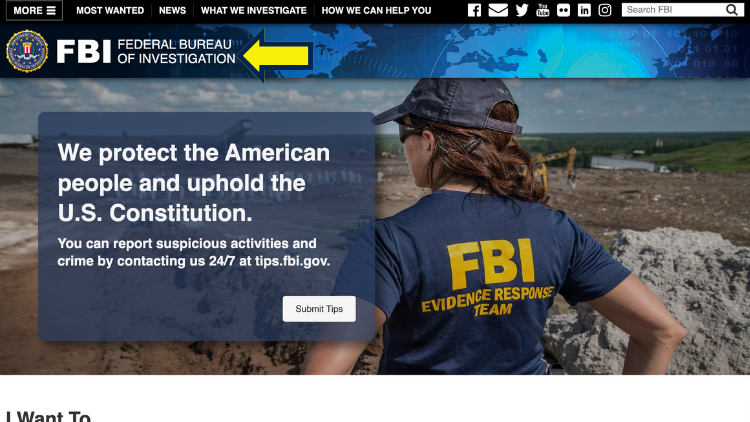 FBI Website screenshot with resources for do dismissed charges show up on a background check.