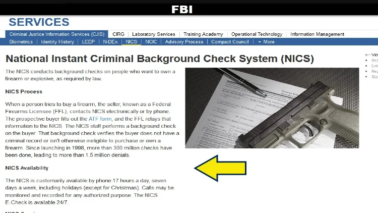 FBI National Instant Criminal Background check system screenshot.