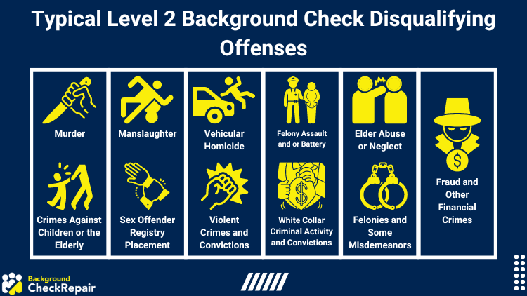 Graphic showing the typical level 2 background check disqualifying offenses