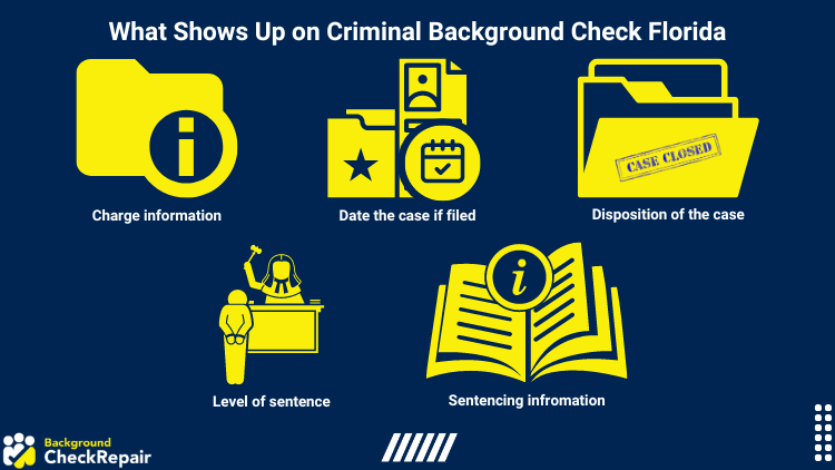 Graphic on what shows up on criminal background check Florida