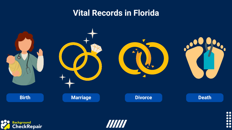 Graphic on vital records in Florida