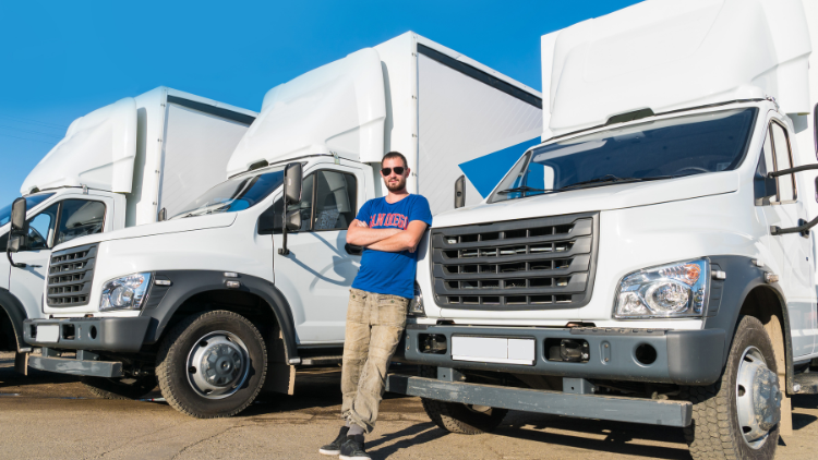 Trucks in a row on a parking lot.
